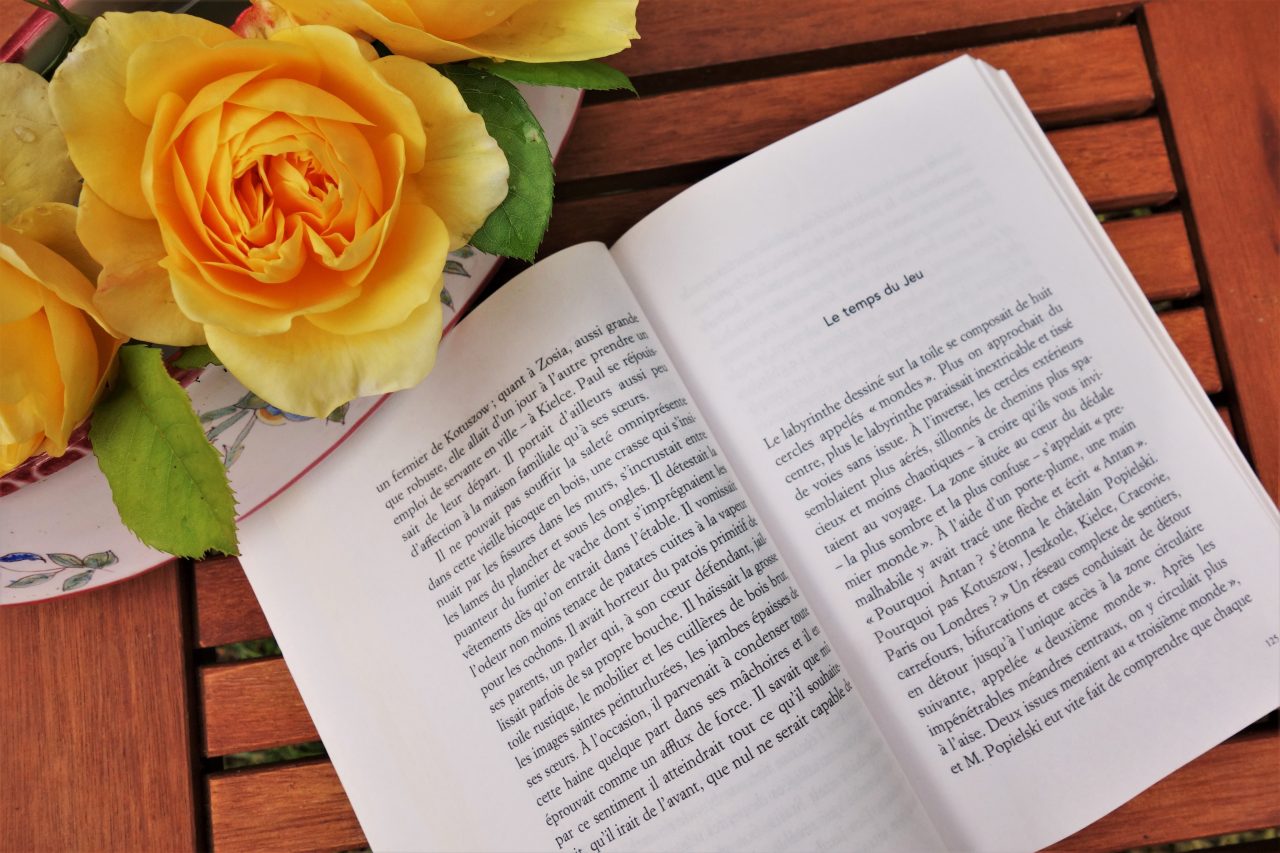 Un livre est ouvert sur une table en bois. C'est le début d'un chapitre. Une fleur jaune orangée est visible de haut dans le coin supérieur gauche.